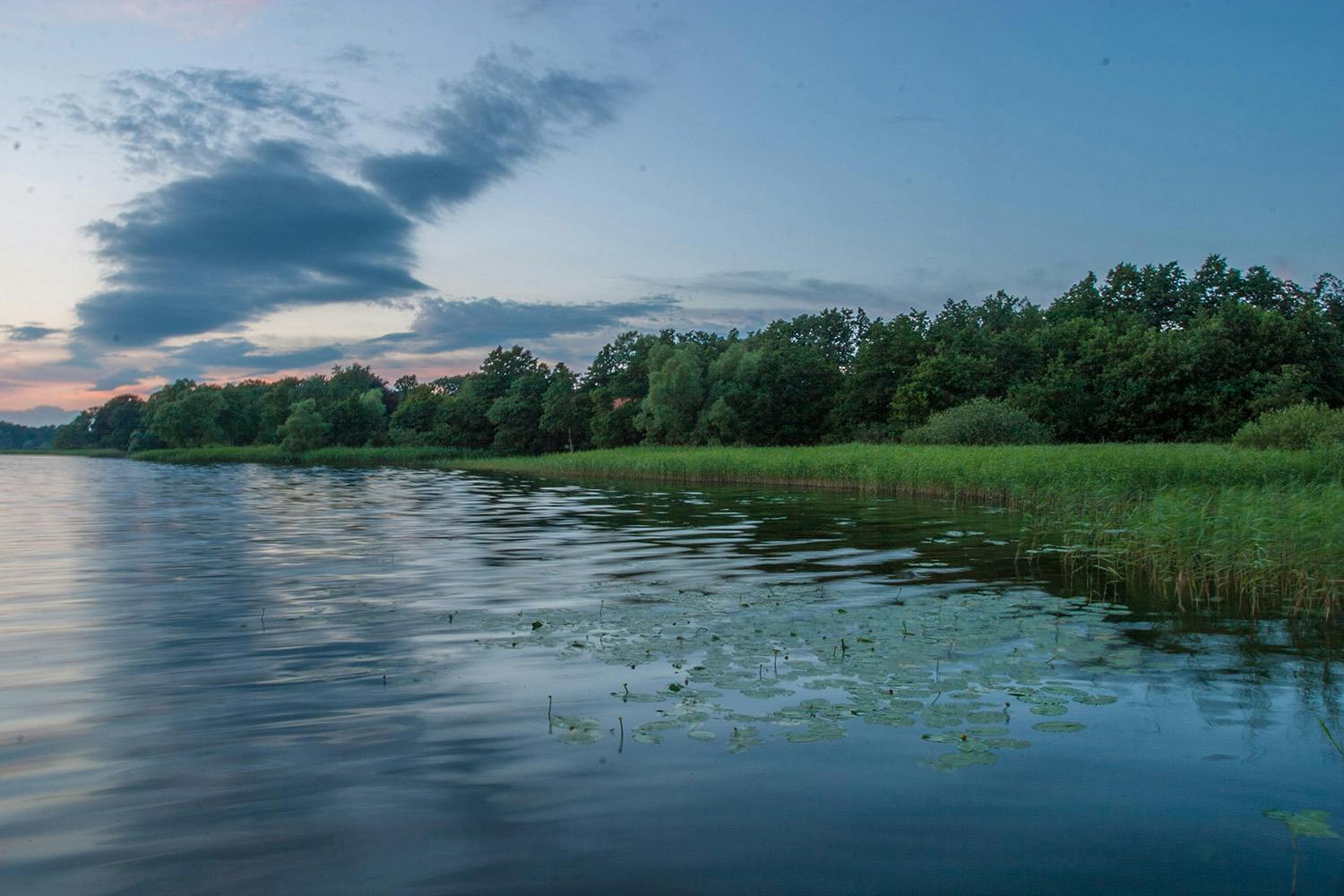 Kuvakennon pölyhiukkaset näkyvät taivaalla selvästi.